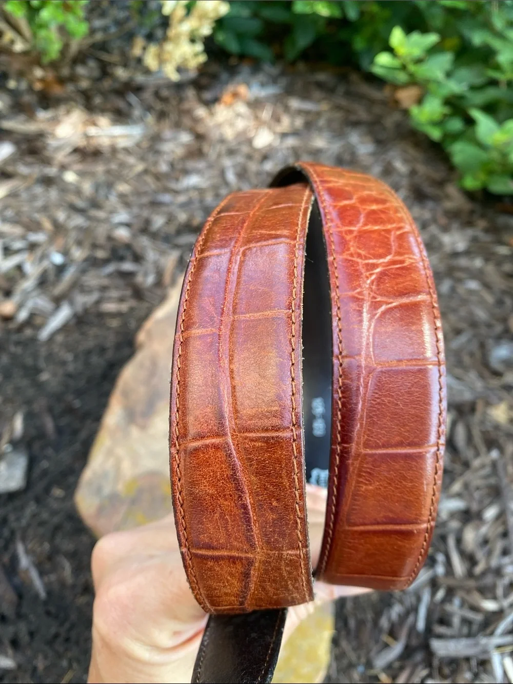 Vera Pelle Dark Brown Leather Belt with embossed alligator
